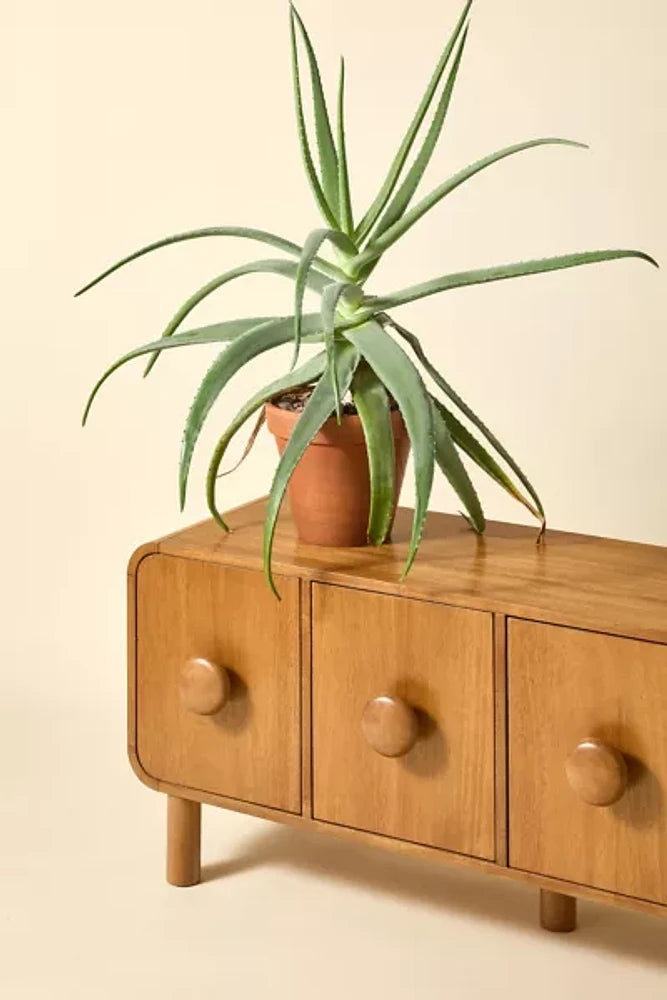 Sandora Media Cabinet